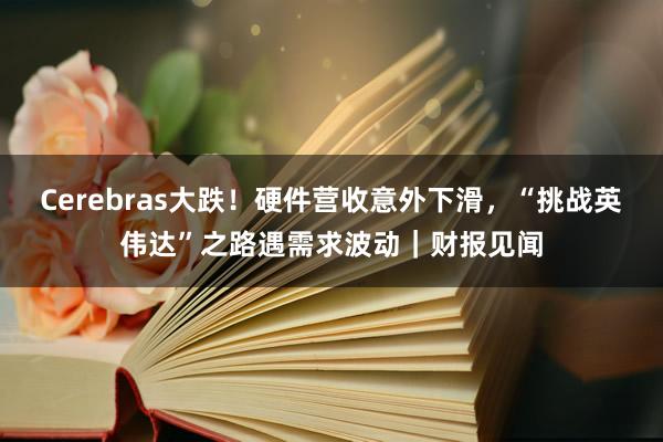 Cerebras大跌！硬件营收意外下滑，“挑战英伟达”之路遇需求波动｜财报见闻