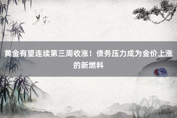 黄金有望连续第三周收涨！债务压力成为金价上涨的新燃料