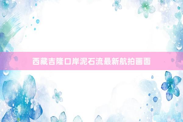 西藏吉隆口岸泥石流最新航拍画面