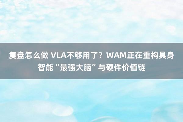 复盘怎么做 VLA不够用了？WAM正在重构具身智能“最强大脑”与硬件价值链