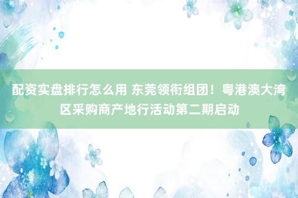 配资实盘排行怎么用 东莞领衔组团！粤港澳大湾区采购商产地行活动第二期启动