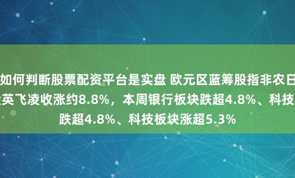 如何判断股票配资平台是实盘 欧元区蓝筹股指非农日涨1%，成分股英飞凌收涨约8.8%，本周银行板块跌超4.8%、科技板块涨超5.3%