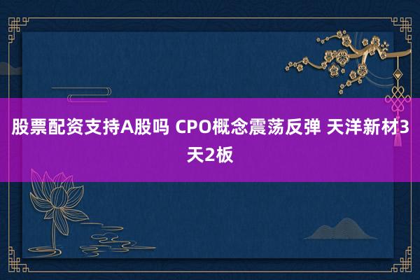 股票配资支持A股吗 CPO概念震荡反弹 天洋新材3天2板